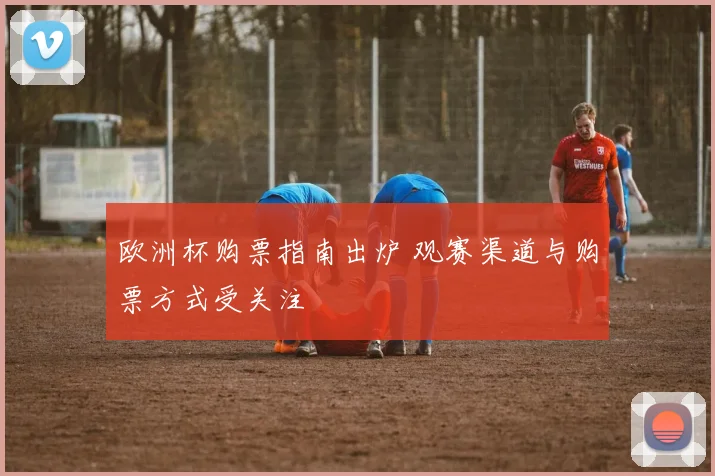欧洲杯购票指南出炉 观赛渠道与购票方式受关注