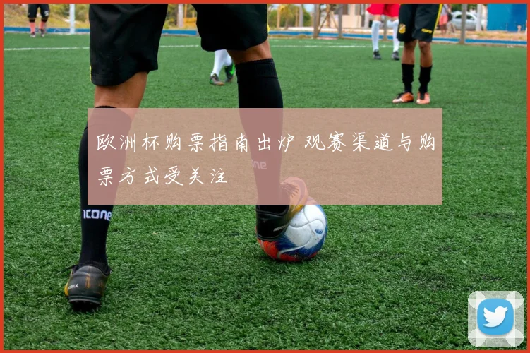 欧洲杯购票指南出炉 观赛渠道与购票方式受关注