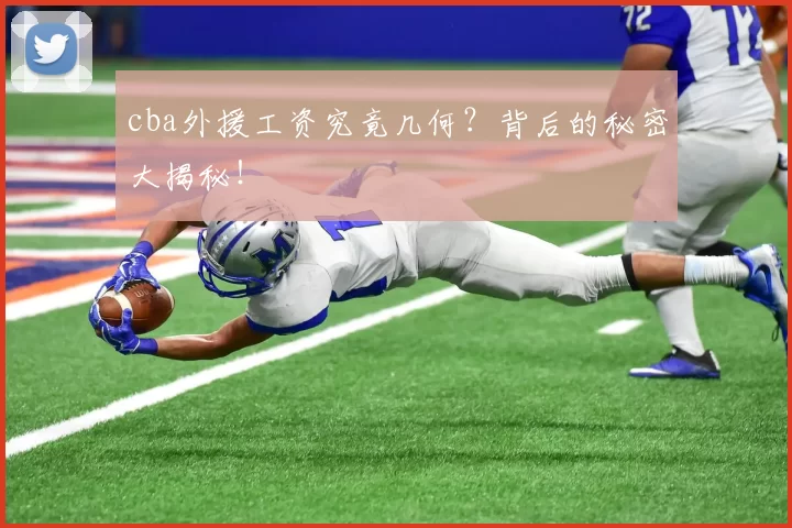 cba外援工资究竟几何？背后的秘密大揭秘！