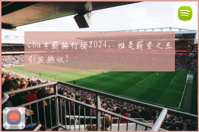 cba年薪排行榜2024，谁是薪资之王引发热议！