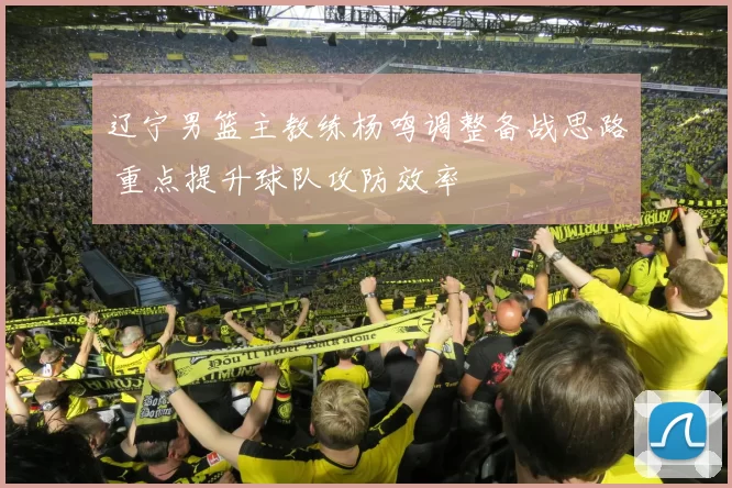 辽宁男篮主教练杨鸣调整备战思路 重点提升球队攻防效率